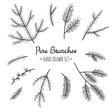 Hand drawn pine branches set