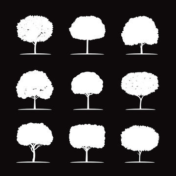 White Trees. Vector Illustration.