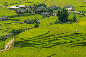 Prachtig landschap groen terrasvormig rijstveld in Mu cang chai, V