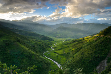 Rice field in valley in Vietnam
