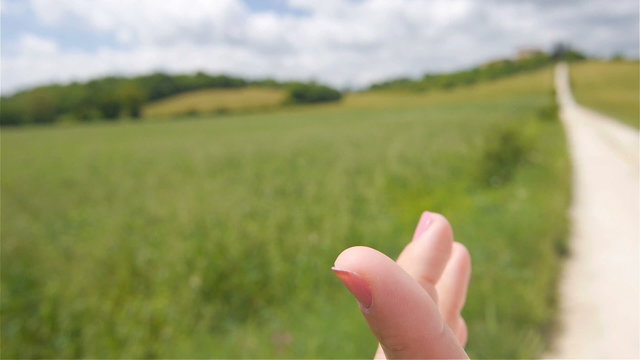 Ladybug flies away off a finger