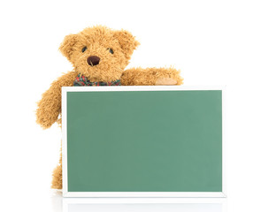 Teddy bear with empty green board