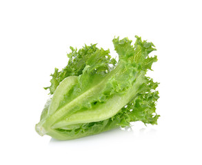 Fresh green lettuce  on  white  background