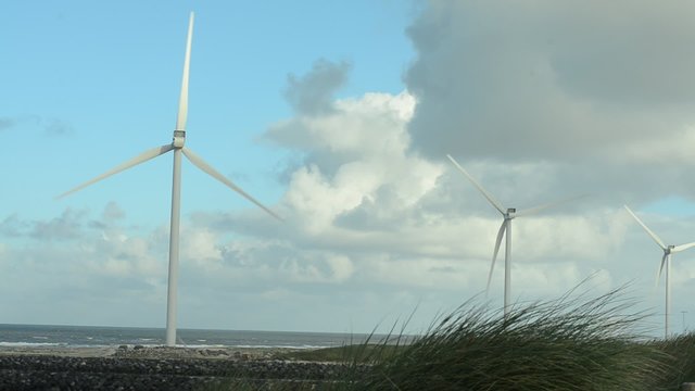 Windr&auml;der am Meer 