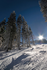 Winter Landscape in the Vitosha mountains, Bulgaria