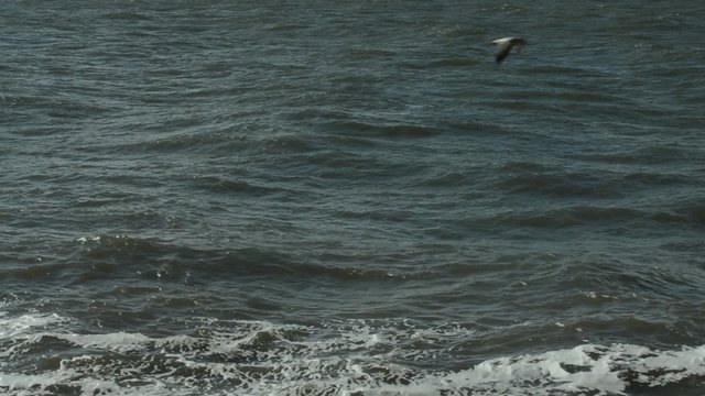 Wellenbewegung auf dem Wasser