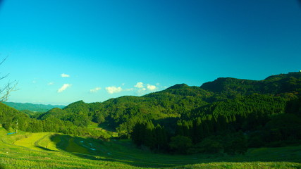 Obraz premium 棚田