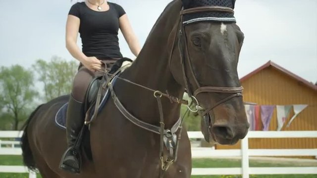SLOW MOTION CLOSE UP: Young woman horseback riding in manege