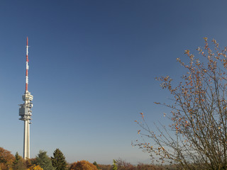 St. Chrischona im Herbst © Varbvoto