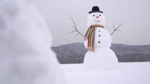 DOLLY: Snowman in the middle of field