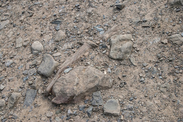 Brown Soil with stones. Seamless Tileable Texture