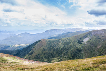Fototapeta premium summer mountains grass and blue sky landscape