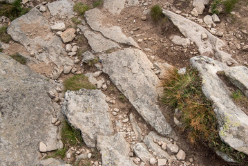 Soil and big stone as background