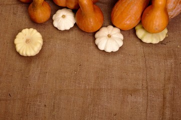 Autumn pumpkin and squash background for scrap booking/pumpkins of different shapes lying on sacking