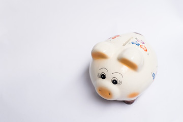 PIG PIG