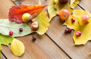 close up of autumn leaves, fruits and berries