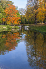 Reflection of Autumn Trees in Water