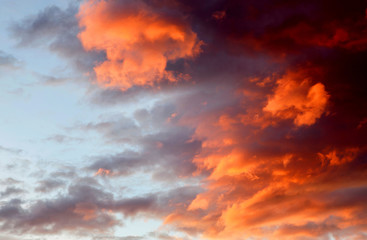 Fototapeta na wymiar Idyllic orange sky