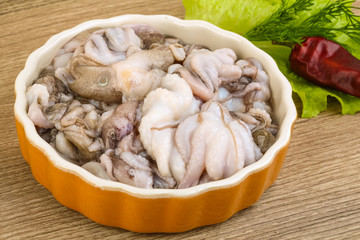 Raw baby octopus