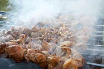 Skewers with meat on the barbecue grill