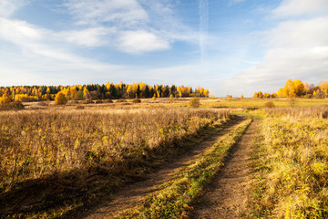 Rural path in a field