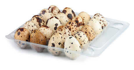 Quail eggs in a plastic container on white