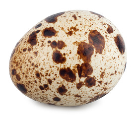 Single quail egg isolated on white