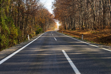 Fototapeta premium Landstrasse durch herbstlichen Wald