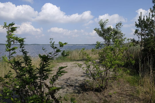 Am Cospudener See in der Leipziger Neuen Seenlandschaft, Leipzig