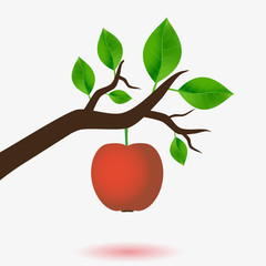 red apple and branch of tree with green leaves eps10