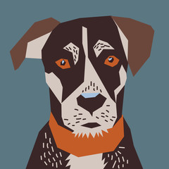Dog flat head portrait