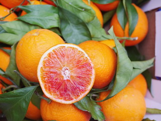 blood orange leaf
