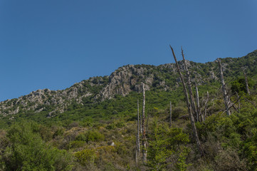 Mountains and sea