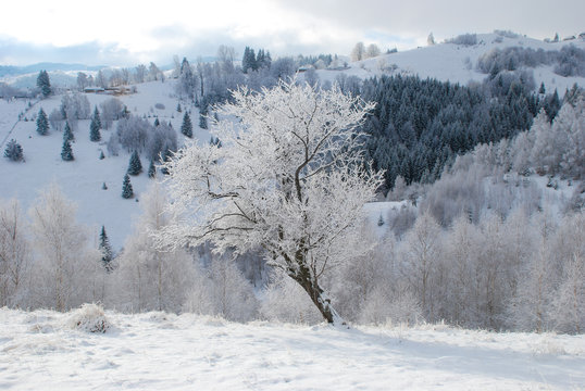 รูปภาพFundata เลือกดูภาพถ่ายสต็อก เวกเตอร์ และวิดีโอ347 Adobe Stock