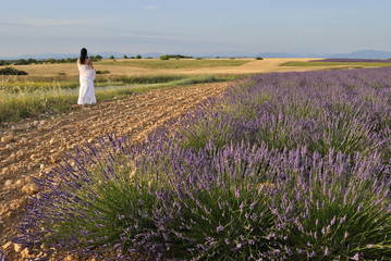 Woman alone in a lavender filed, Provence, France