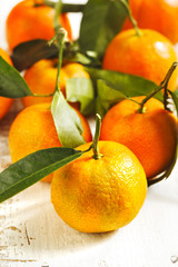 Fresh citrus fruits with leaves