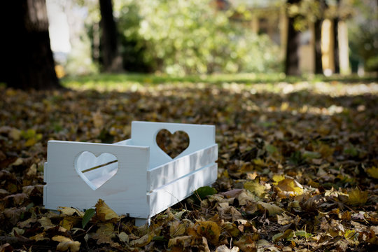 Beautiful baby bed in autumn leaves