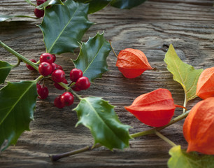 Stechpalme, Ilex Zweige mit roten Beeren und Lampionblumen auf altem Treibholz / Holzbrett 