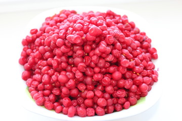 red schizandra isolated