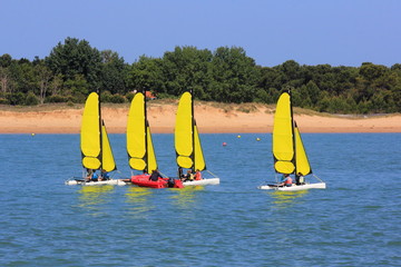 Alignement de petits voiliers © helenedevun