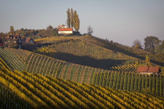 Herbst an der südsteirischen Weinstrasse