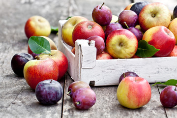 Seasonal fruits. Apples and plums on a wooden table
