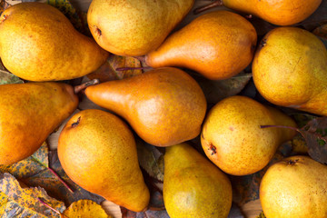Juicy ripe pears with dried leaves