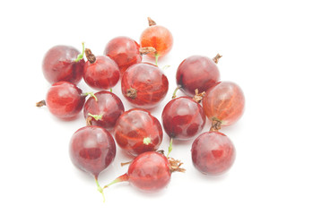 many tasty red gooseberries
