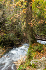 waterfall in the mountains of Bulgaria