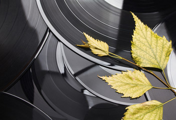 Background of vinyl  records and autumn leaves.