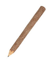 Branch pencil on a white background
