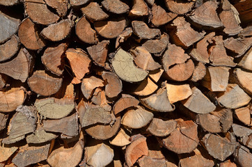 holz, brennholz