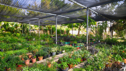 Middle Eastern Greenhouse