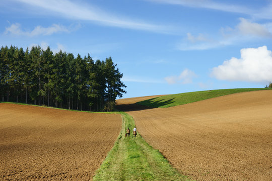 Paysage Campagne 107